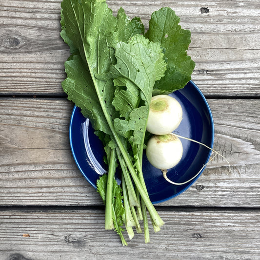 季節のお野菜